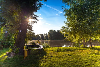 Peaceful morning scene with sunlight through trees by a lake in Wittichenau. HD wallpaper
