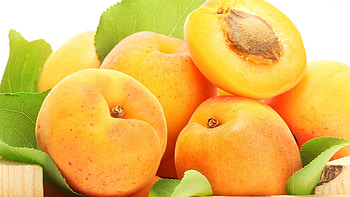 Apricot , Backgrounds HD wallpaper