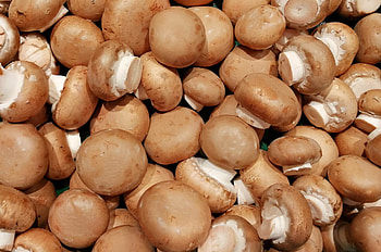 Nutritional powerhouses, Vitamin-rich mushrooms, Health benefits, Fungal wonders HD wallpaper