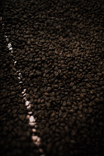Food, Coffee, Coffee Beans, Ray HD phone wallpaper