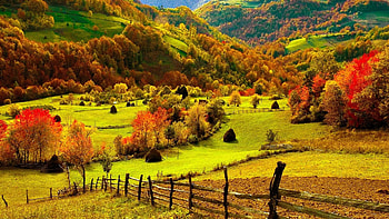 Fall , Fall scenery, Amazing autumn, Captivating background HD wallpaper