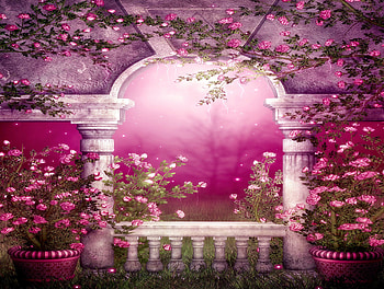 SPRING GARDEN, structure, garden, flowers, creeps, pots HD wallpaper