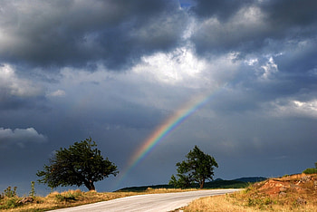 Rainbow, nature, cloud, tree HD wallpaper