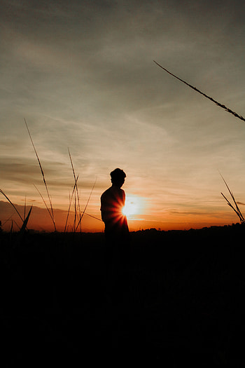 Sunset, Grass, Sky, Dark, Shine, Light, Silhouette, Human, Person HD phone wallpaper