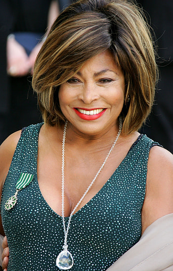 Legion D'Honneur award 2008, Tina Turner HD phone wallpaper