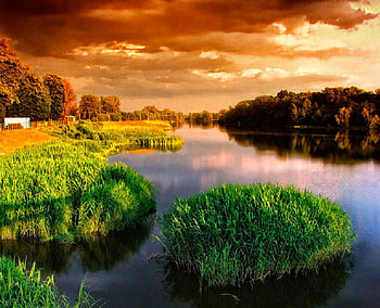 Calm Lake, nature, field, lake, land HD wallpaper