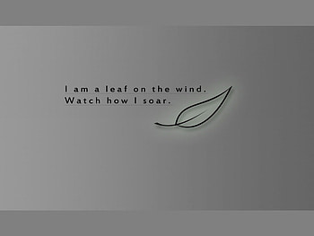 Leaf, cg, abstract, tree HD wallpaper