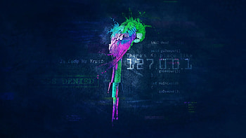 Parrot Os, Parrot Linux HD wallpaper