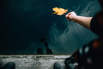 Autumn, Hand, Miscellanea, Miscellaneous, Dry, Leaflet HD wallpaper
