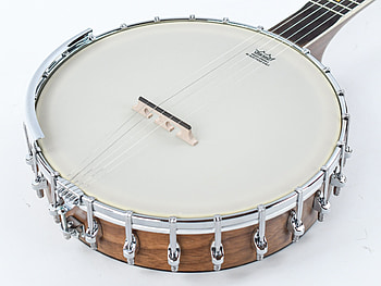Ashbury ab85, Openback banjo, The Fellowship of Acoustics, Banjo music HD wallpaper