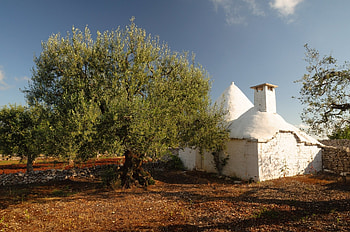 Alberobello's beauty, Quaint trulli houses, Memorable experience HD wallpaper