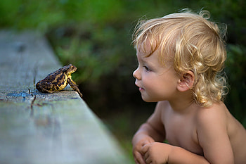 Hello my friend, funny, frog, boy, pretty HD wallpaper