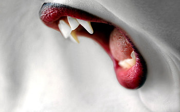 Vampire's Bite, bite, lips, fangs, vampire HD wallpaper