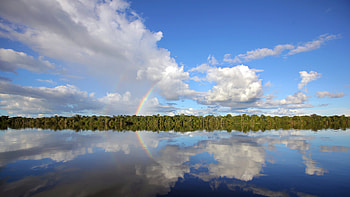 Rio Negro or Guainía river, Amazon, Brazil, river, nature, reflection HD wallpaper
