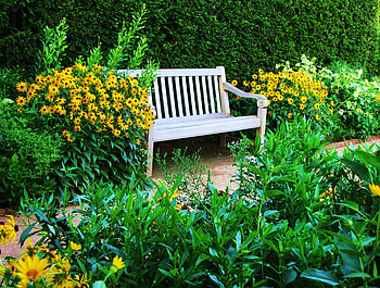 Lush, bench, flowers, park HD wallpaper
