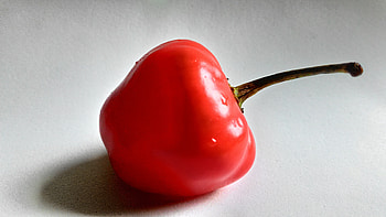Food, Pepper, Shadow, Vegetable HD wallpaper