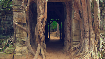 Asia Travels, Sustainable tourism observatories, Effective monitoring of, Tourism data HD wallpaper