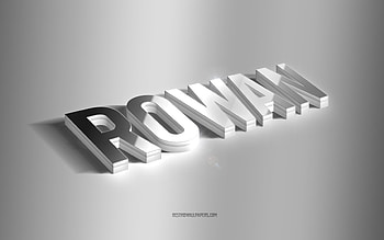Rowan, silver 3d art, gray background, with names, Rowan name, Rowan greeting card, 3d art, with Rowan name HD wallpaper