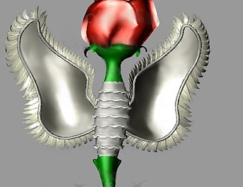 Red Rose ANG, rose, aangelitooo, red HD wallpaper