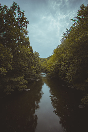 Landscape, Nature, Water, Rivers, Trees HD phone wallpaper