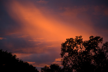 Nature, Trees, Sunset, Sky, Clouds, Branches, Outlines HD wallpaper