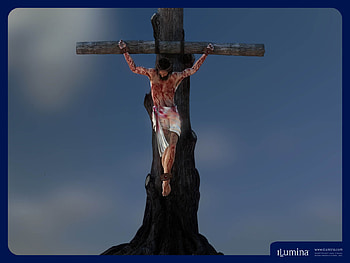 THE SON OF GOD, god, religious, cross, son, trees, jesus HD wallpaper