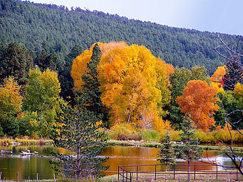 Landscape, colors, sesons, forests, green, yellow, trees, autumn, nature, water, rivers, places HD wallpaper