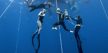 diving, Sports, diving Course, Ken Kiriyama HD wallpaper