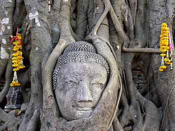 Thailand, nature, buddha, india HD wallpaper