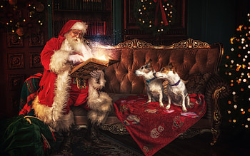 Santa, dogs, holidays, christmas HD wallpaper