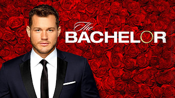 The Bachelor, Love reality series, Drama-filled episodes, Contestant interviews HD wallpaper