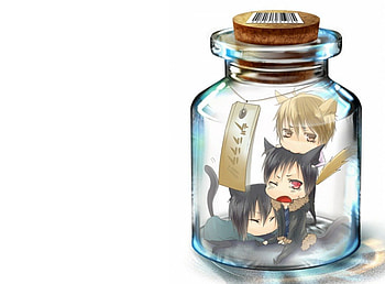 Neko in the Jar, durarara, nekomimi, cute, male, plain, white, neko mimi, tail, bottle, kawaii, simple, neko, boy, anime, jar, ears, guy HD wallpaper