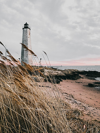 Nature, Grass, Sea, Building, Coast, Lighthouse HD phone wallpaper