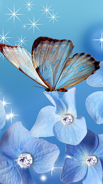 Blue Flowers, Butterfly, Flower Pattern HD phone wallpaper