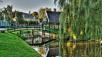 Cities, Nature, Trees, Sky, House, Bridge, r HD wallpaper