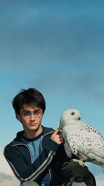Harry Potter, harrypotter HD phone wallpaper