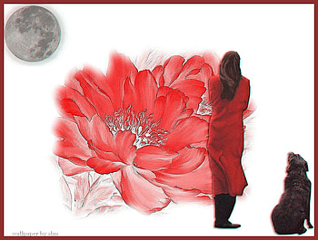 Walking Away, dog, sad, lady, moon, flower, red, new HD wallpaper