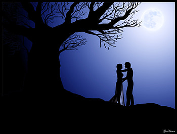 Moonlight Lovers At Midnight, sky, lovers, moon, tree HD wallpaper