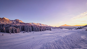 Winter Snow Trees , winter, snow, trees, nature HD wallpaper