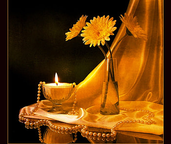 Yellow light of the candle, color, beauty, still life, candle, light, yellow, pearls, nature, flowers HD wallpaper