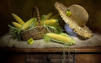Corn Still Life, still life, basket, corn, hat HD wallpaper