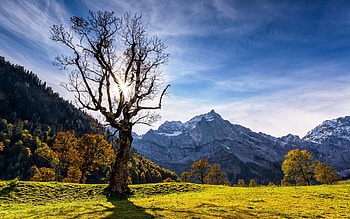 mountain landscape, tree, autumn, mountains, summer, Alps, Switzerland HD wallpaper