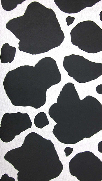Cow Print, Black, White HD phone wallpaper