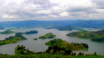 Uganda travels, Spectacular primates, Wildlife safari, Group and family tours HD wallpaper