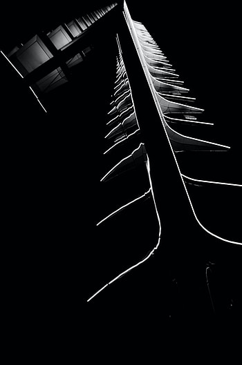 Building, Neon, Bw, Chb, Bottom View HD phone wallpaper