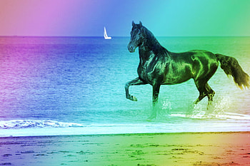Spirit, horses, horse, art, animals, rainbows, ocean HD wallpaper