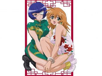 China Dress, anime, shimei, hakufu, ikki tousen HD wallpaper
