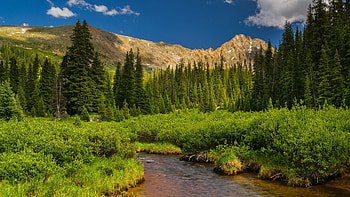 Williams Mountain, Colorado, usa, river, clouds, trees, landscape, sky HD wallpaper