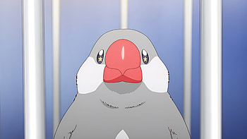 Pii-chan, Anime, Sasaki and Peeps HD wallpaper