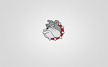 Vector, Muzzle, Drawing, , Bulldog HD wallpaper